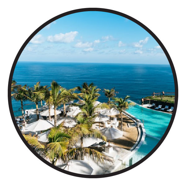 Tour Operator