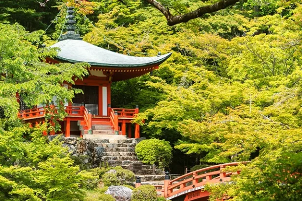 Japan : Explore Tradition, Innovation, and Natural Wonders.