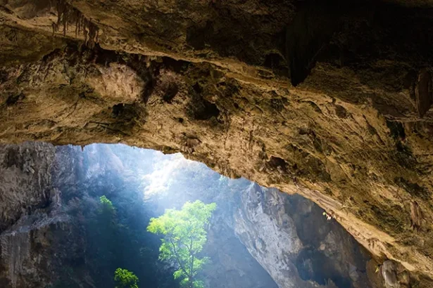 Thailand : Discover Temples, Beaches, and Vibrant Culture.
